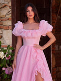 Elegant Ruffle Trim Puff Sleeves Organza Dress