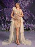 Plus Maternity One Shoulder Tulle Overlay Sequin Party Dress