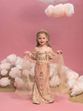 Young Girls' Sweetheart Collar Puff Sleeves Mesh Overlay Sequin Dress