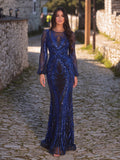 Gorgeous Lantern Sleeves Mermaid Hem Graphic Sequin Evening Dress